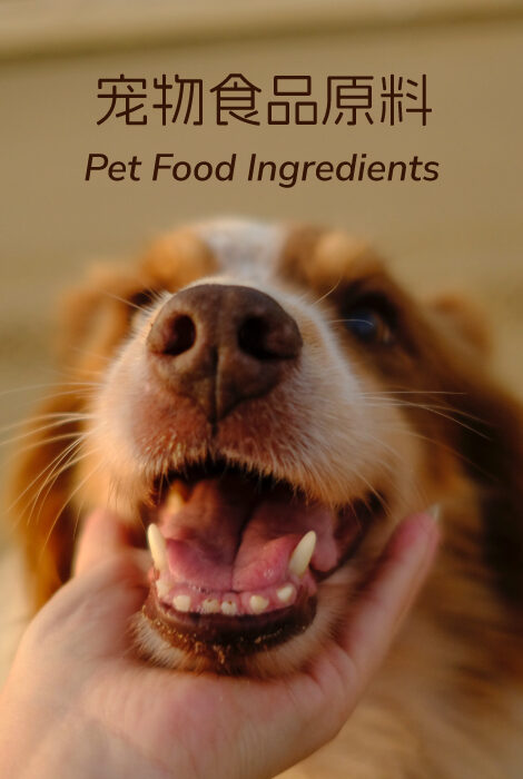 petfood_ingredients-e1708569120258.jpg