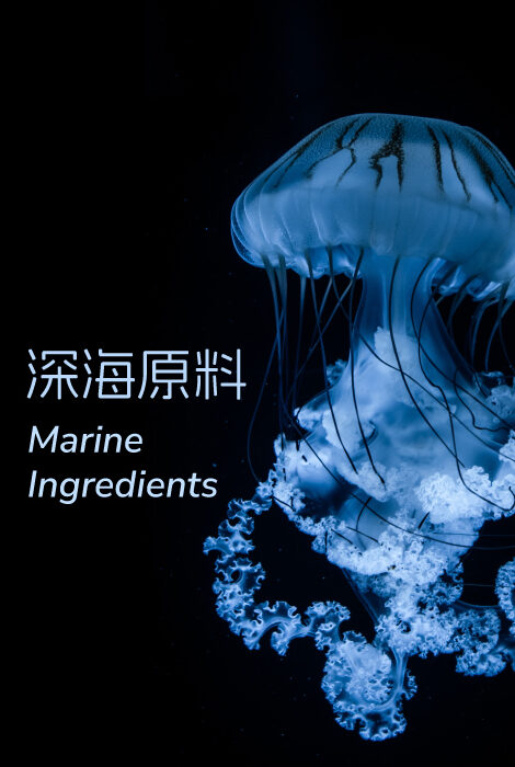 marine_ingredients-e1708570445970.jpg
