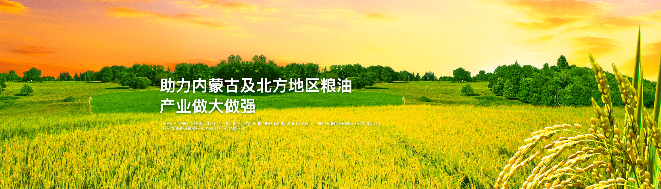 29813cb0524a97b9b563244c7885063e.jpg