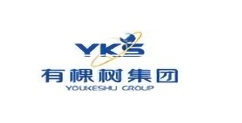 有棵树集团