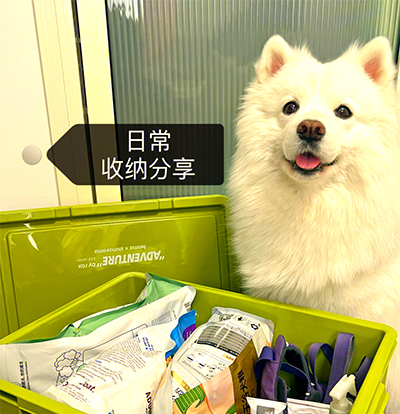 户外园艺及宠物用品